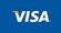 visa icon